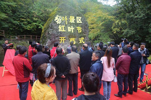 红叶直播平台
